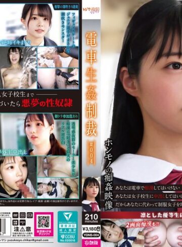 【FANZA最新作】電車生姦制裁 ＃004｜ydns00004